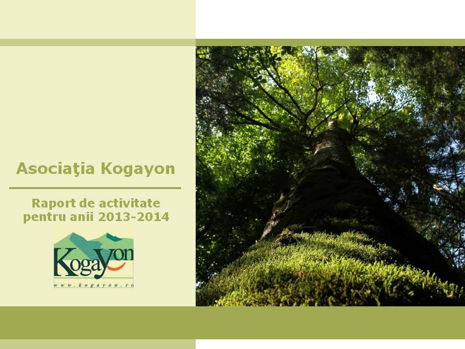 Raport_activitate_2013_2014_Page_01.jpg