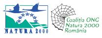 logo1.jpg